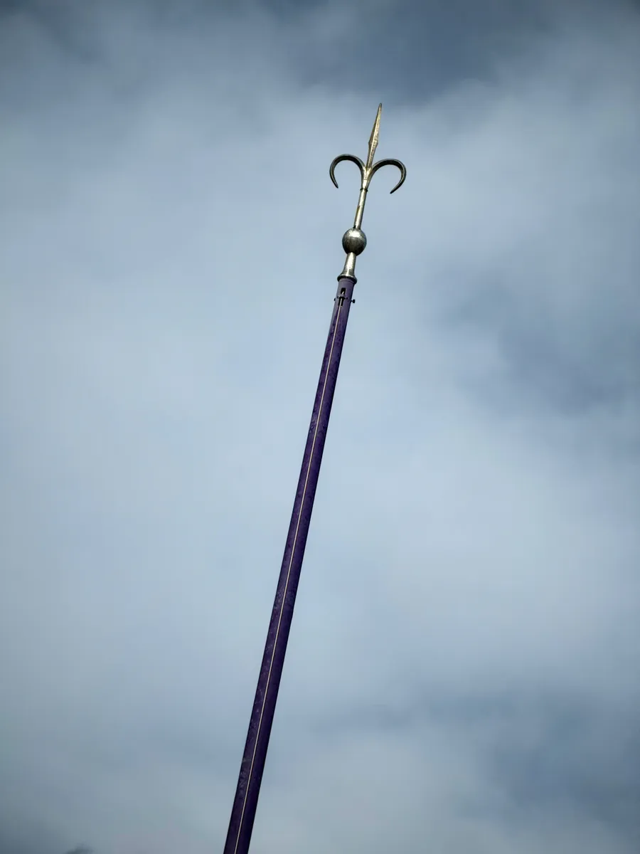 Coat of arms of Trieste - real life edition