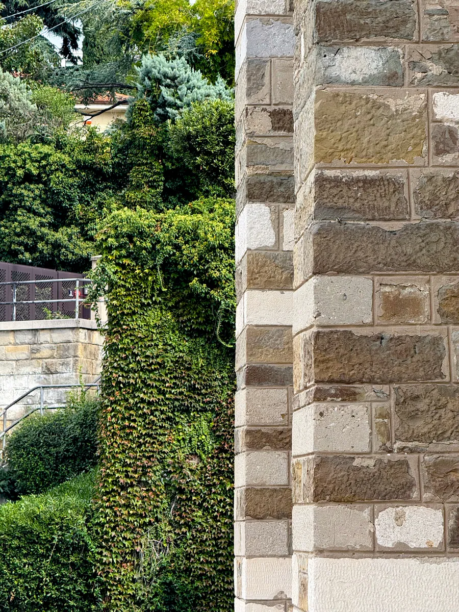 Fractals and symmetry