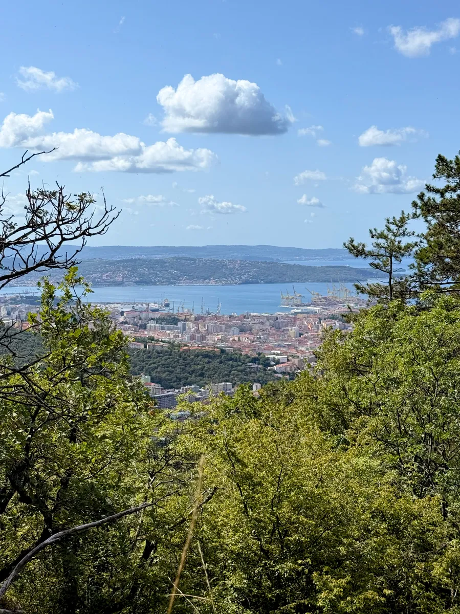 First view of Trieste from above
