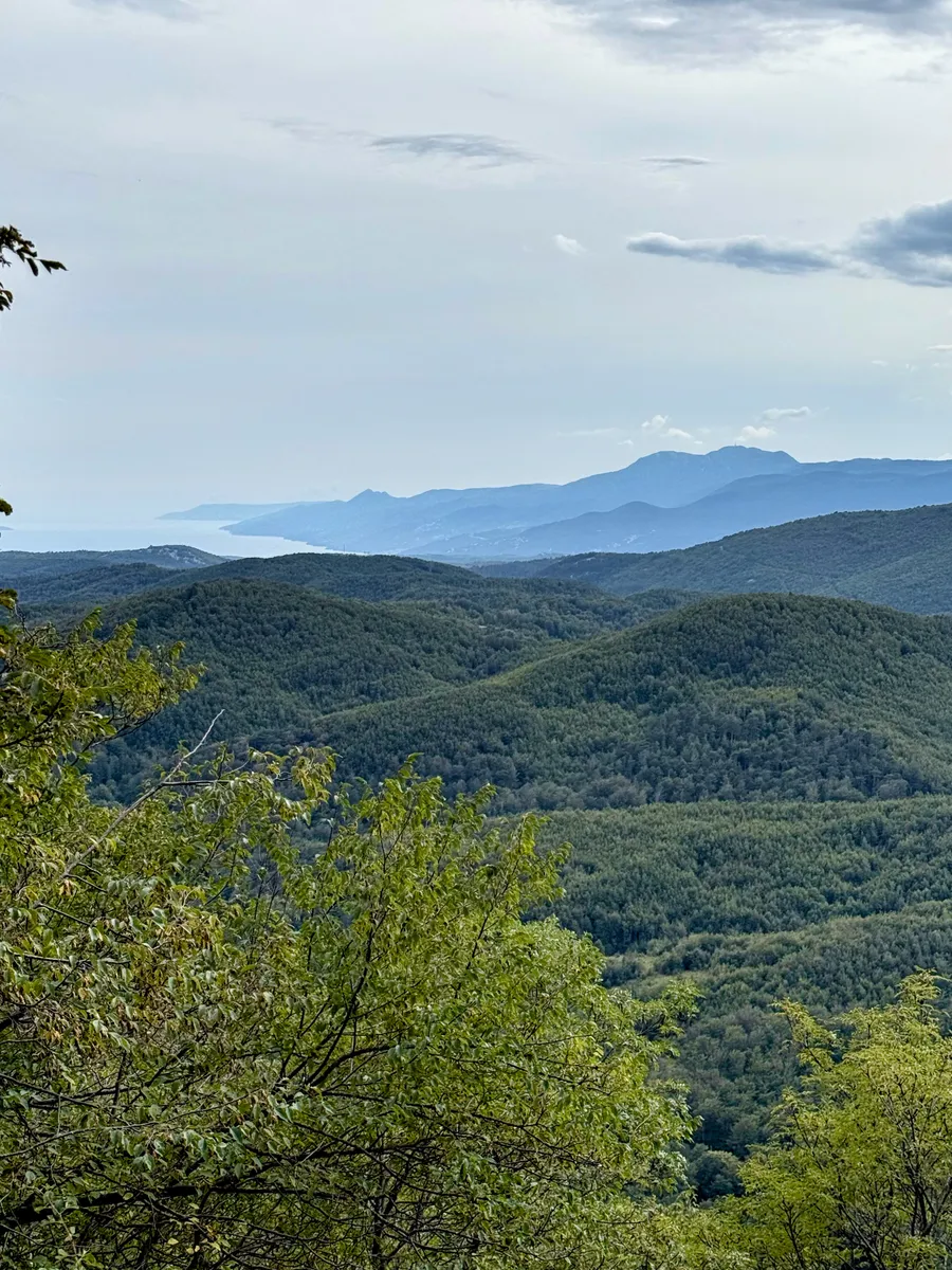 First view of the sea