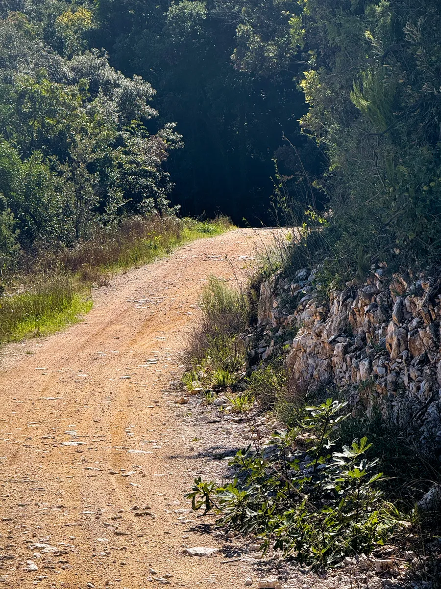 Rollercoaster gravel ride