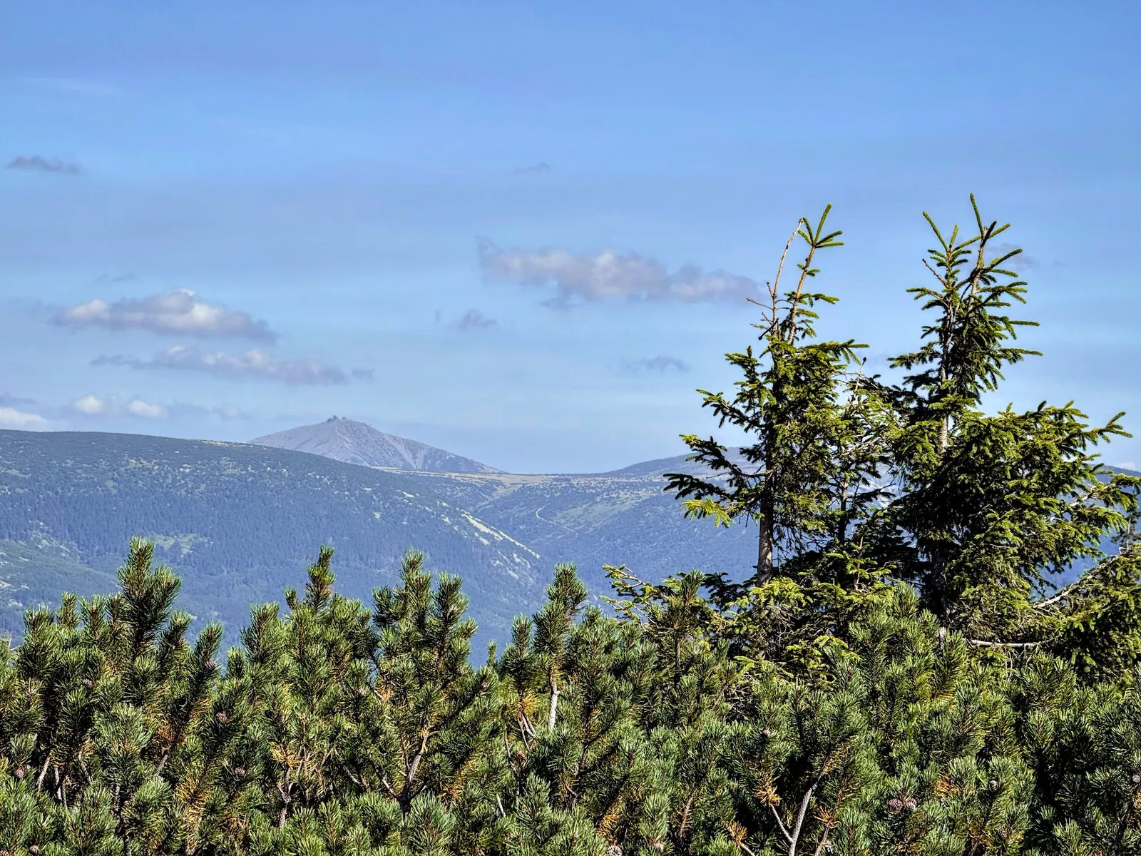 Śnieżka in the distance