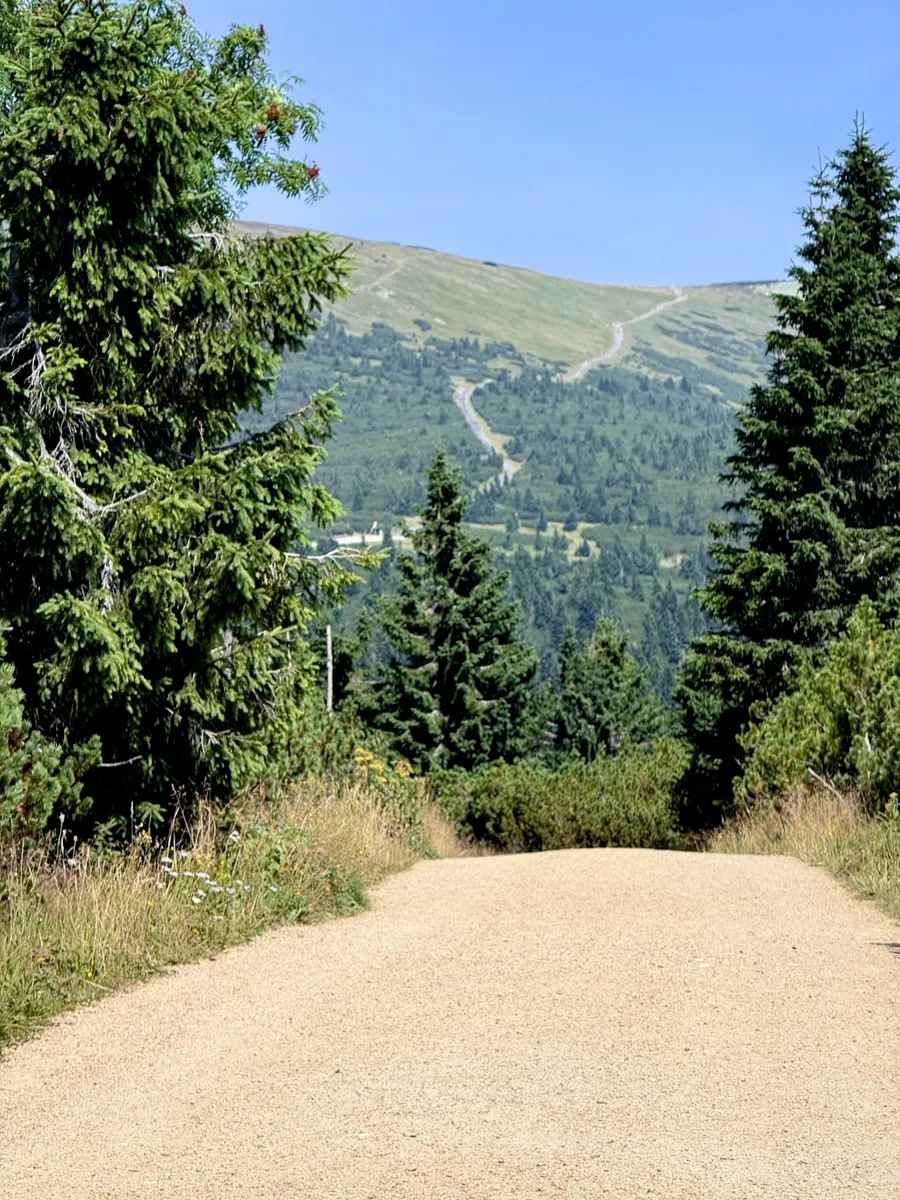 THIS is where we're going?!