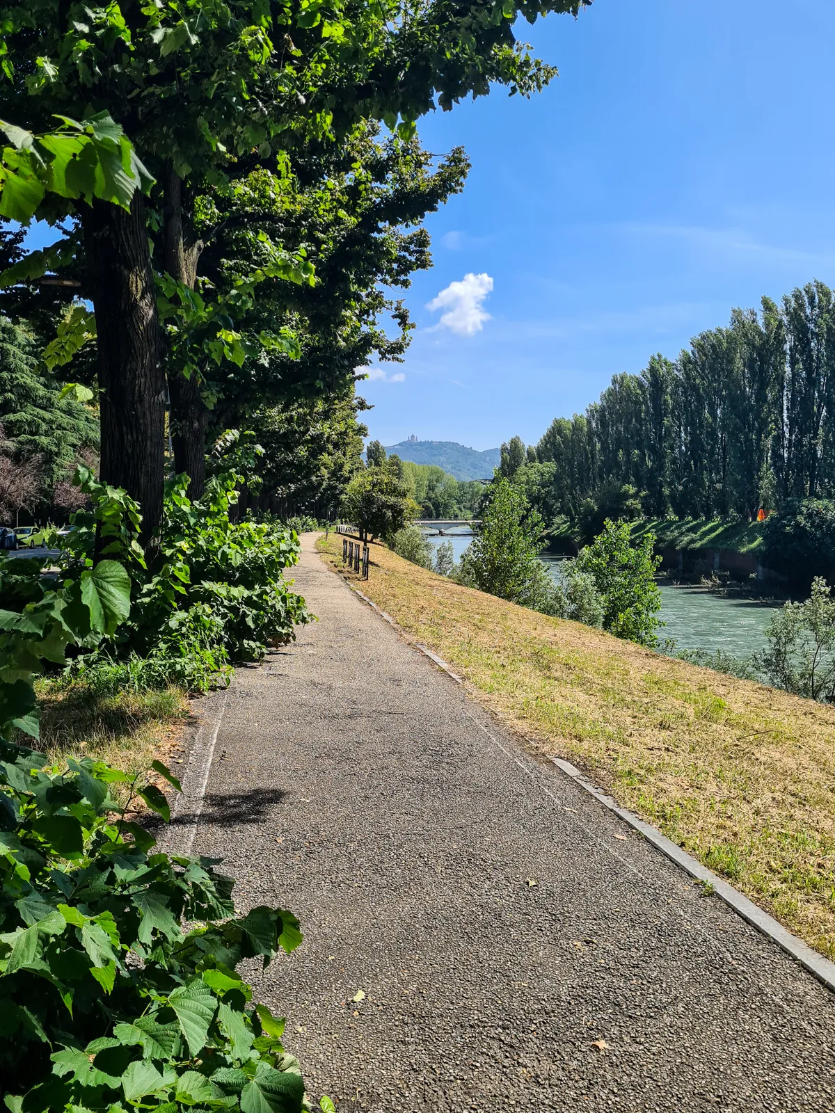 Banks of Dora Riparia